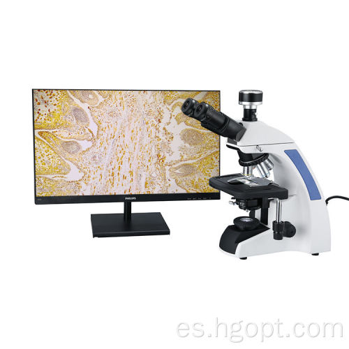 Microscopio binocular biológico con cámara de 5MP